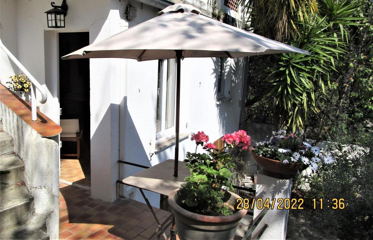 Nice - Studio Independant En Villa - Mer Ville Calme Jardinet Luaran gambar